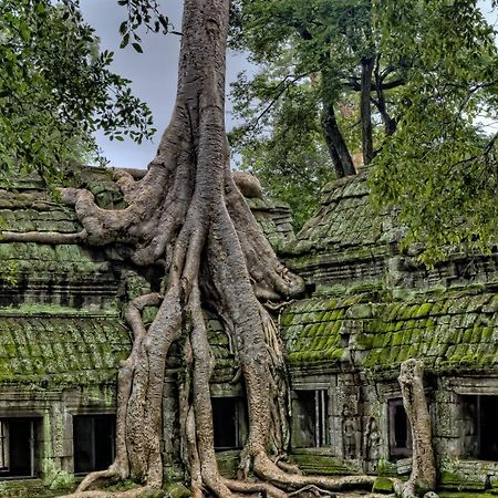Golden Temple Residence Σιέμ Ρέαπ Εξωτερικό φωτογραφία Banteay Srei