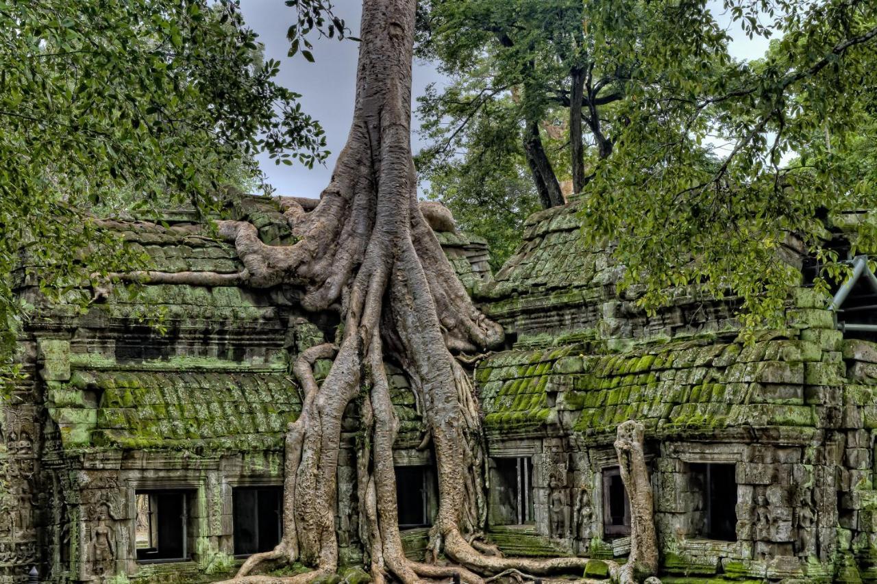 Golden Temple Residence Σιέμ Ρέαπ Εξωτερικό φωτογραφία Banteay Srei